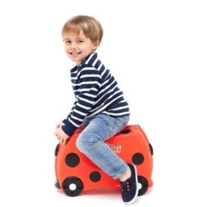 Harley Ladybird_2